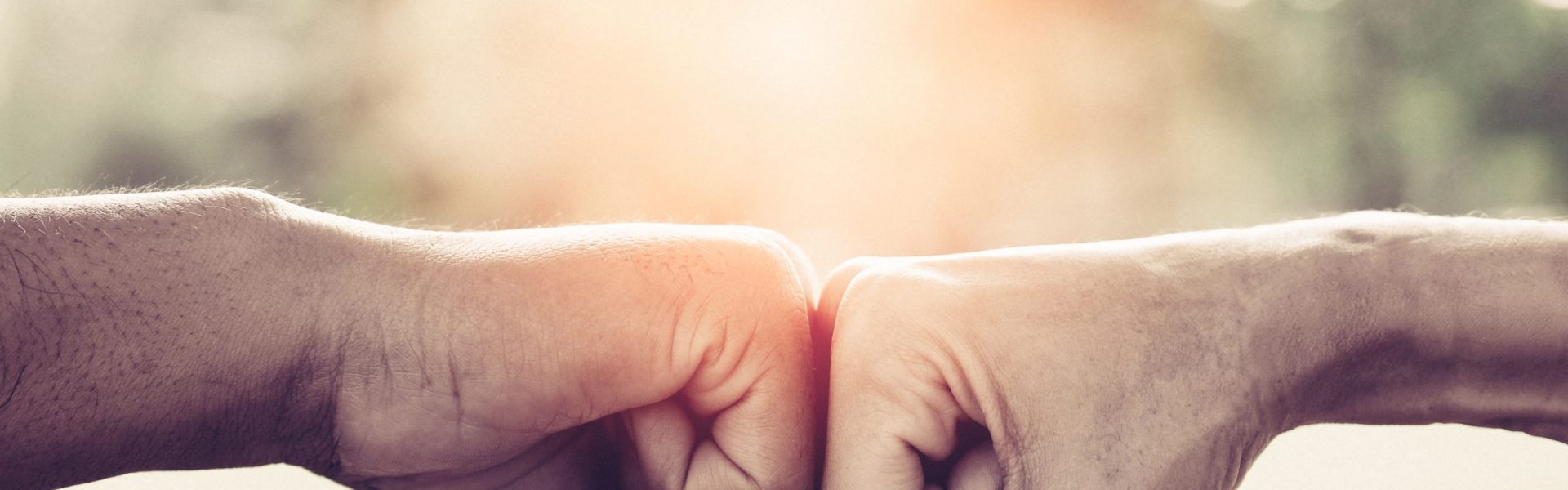 allied agencies allied agencies