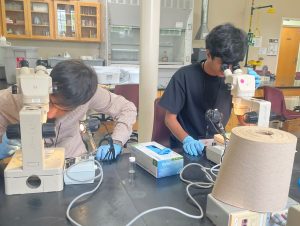 vermont community foundation