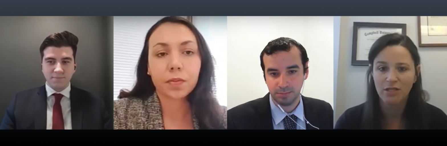 USCRI Webinar: Ukrainian Policy Update