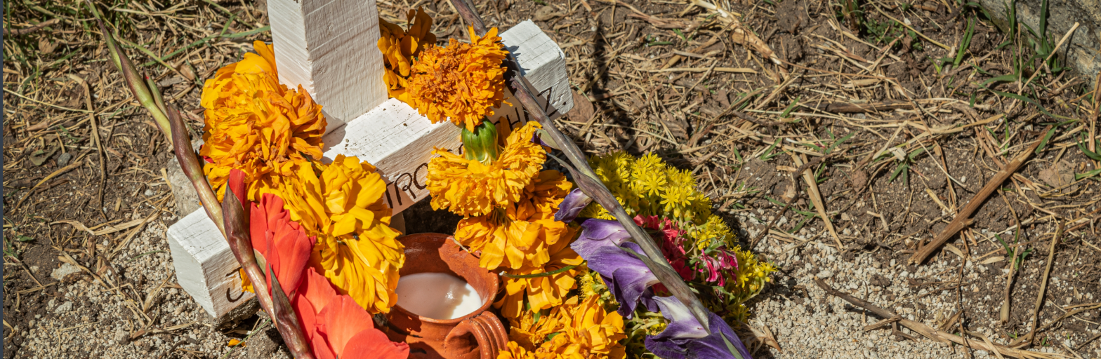 U.S. Border Patrol Found Responsible for the Fatal Abuse of Anastasio Hernández Rojas