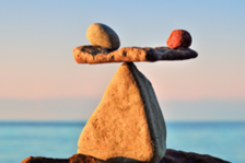 Mental Wellness and Migrants and Refugees